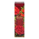 ROSA PURPUREA OLIO CRP MULTIUS