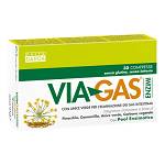 VIAGAS ENZIMI 30CPR