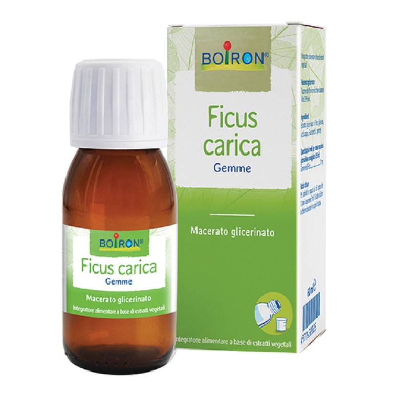 FICUS CARICA BOIRON MG 60ML FICUS CARICA BOIRON MG 60ML